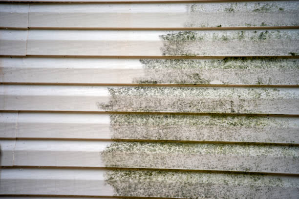 Best Weatherproofing and Sealing  in Leonia, NJ