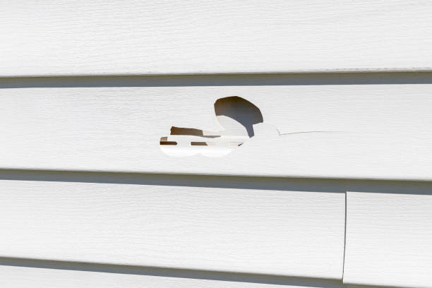 Best Stone Veneer Siding  in Leonia, NJ
