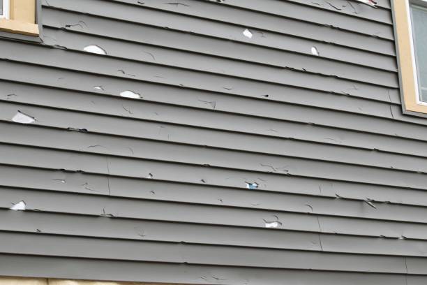 Best Fascia and Soffit Installation  in Leonia, NJ