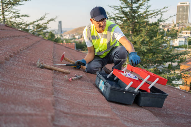 Best Storm Damage Siding Repair  in Leonia, NJ